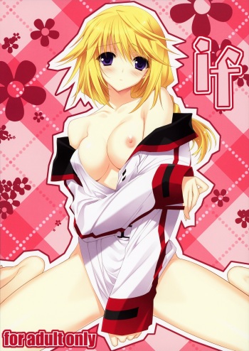 (COMIC1☆5) [HEART WORK (Suzuhira Hiro)] if (IS <Infinite Stratos>) cover