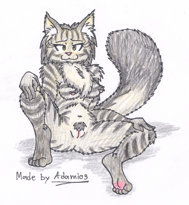 Adamios Gallery page 12 full