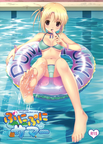 (C80) [Nijiiro Zakura (Koutaro)] Punipuni Summer -book collection vol.08- cover