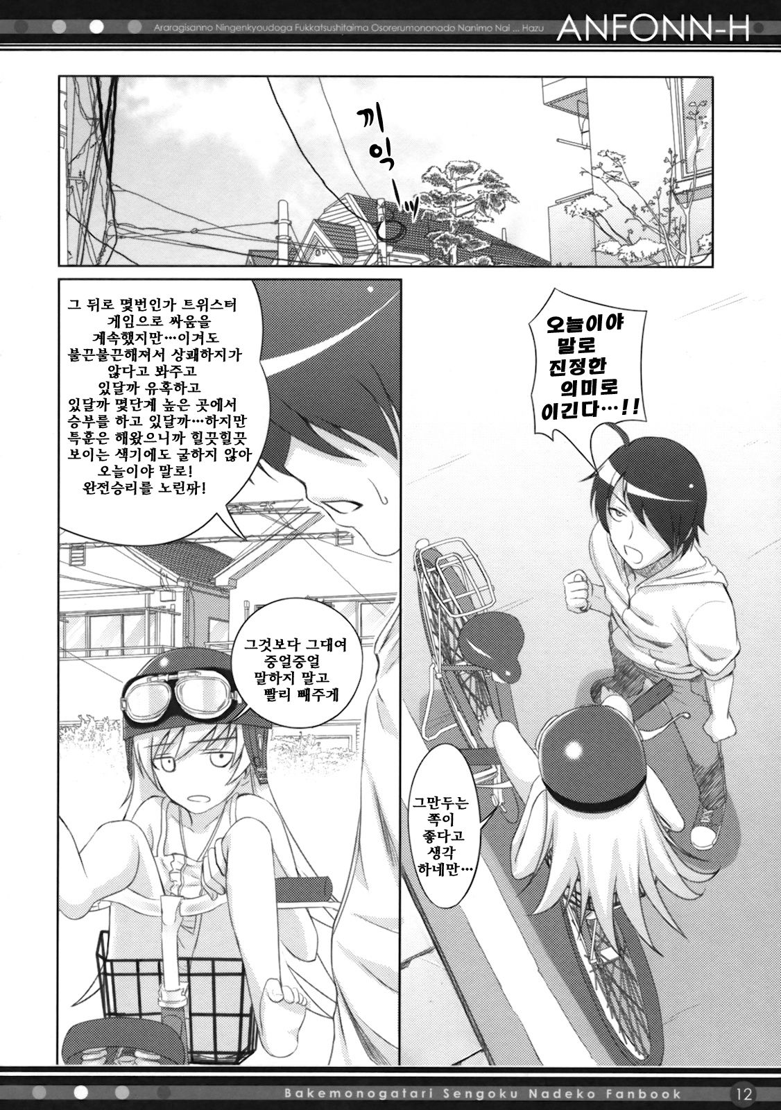 ANFONN-H page 11 full