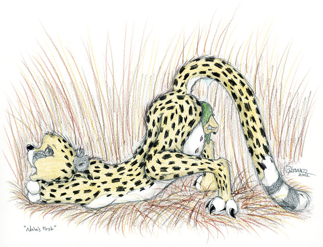 Artist - Sherwood - page 8 full