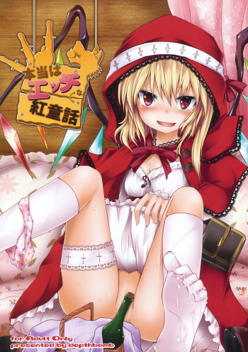 (Aka no Hiroba 5) [Depthbomb (Shimo)] Hontou wa Ecchi na Koudouwa (Touhou Project) cover