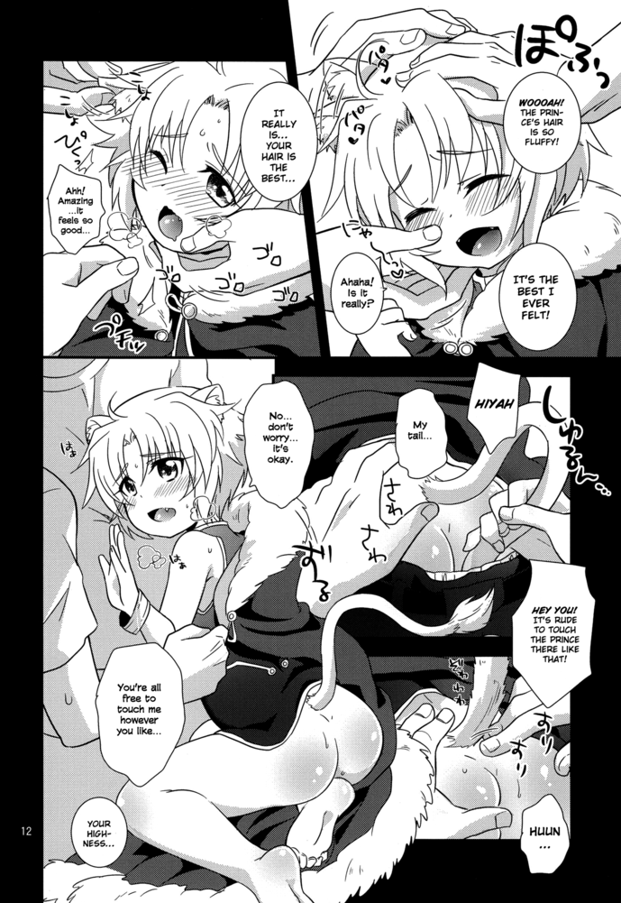 Gaul Denka no go Houbi | His Royal Highness, Gaul's Reward page 11 full