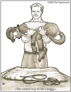 The Veterinarian Petplay