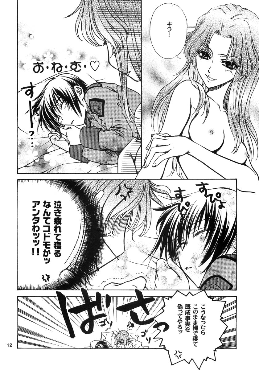 Gundam Seed DJ Ohoshisama ni Onegai page 12 full