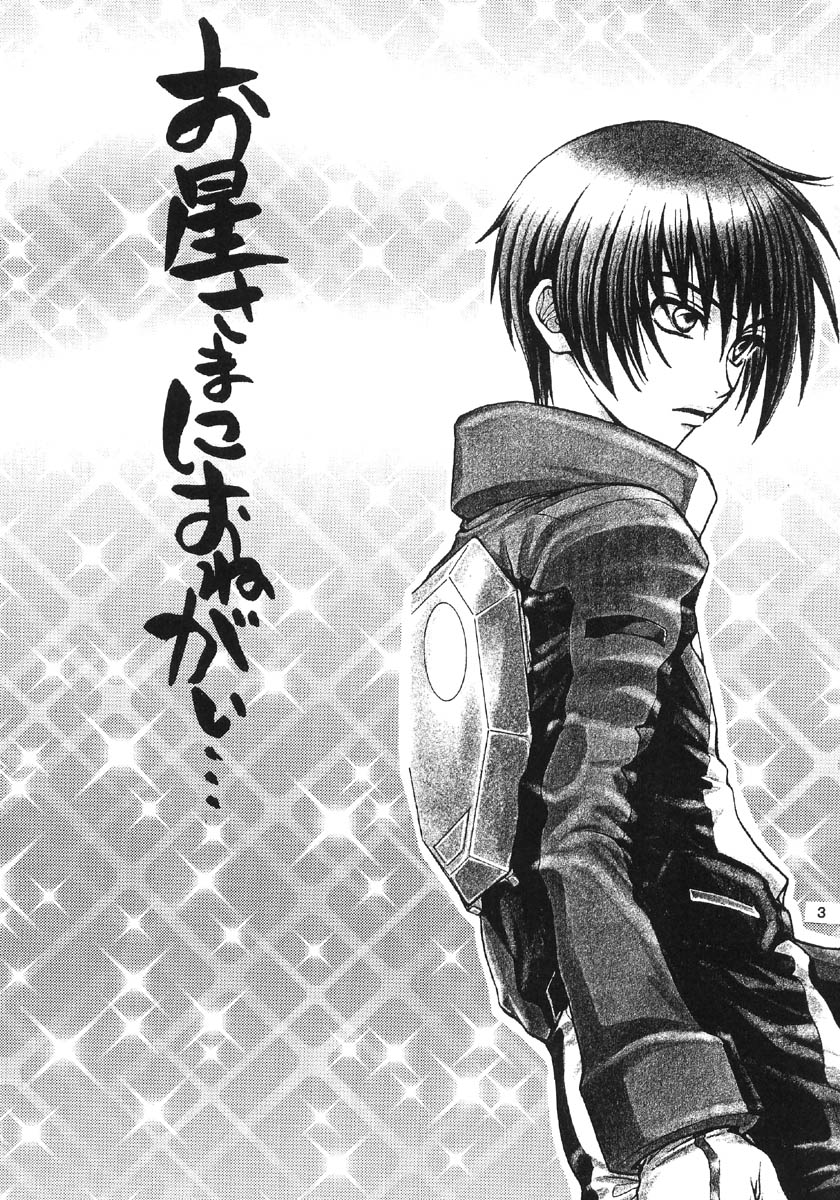 Gundam Seed DJ Ohoshisama ni Onegai page 3 full