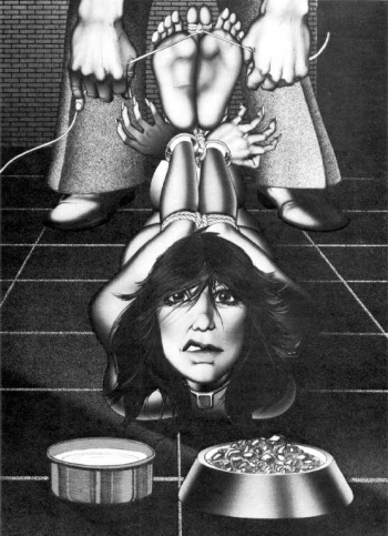 The Bishop [drawings] cover