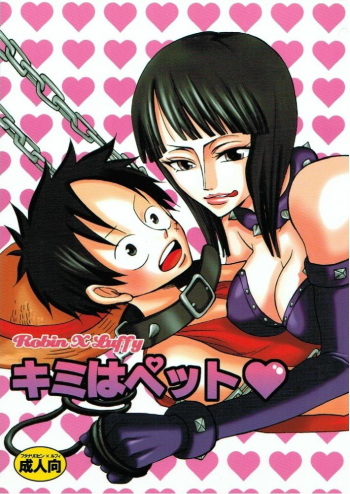 (C66) [PINK STAR (Urazawa Kaoru)] Kimi wa Pet (One Piece) cover
