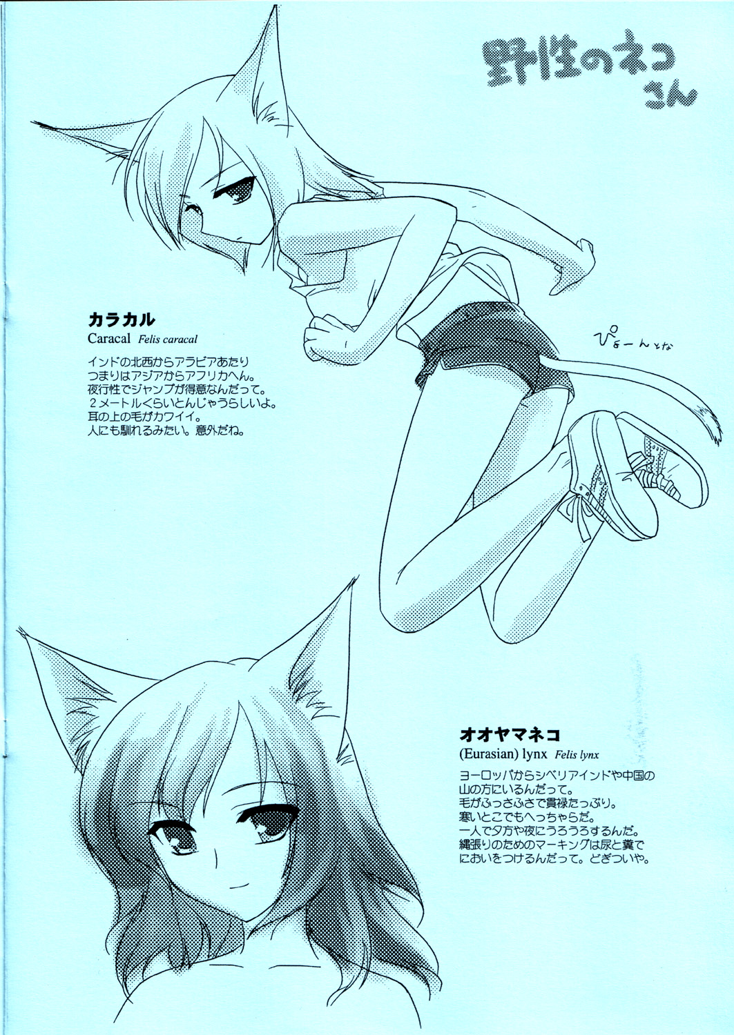 - Feline Lovers page 7 full