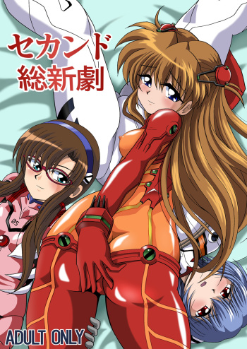 (C78) [Thirty Saver Street 2D Shooting (Various)] Second Soushingeki (Neon Genesis Evangelion) cover