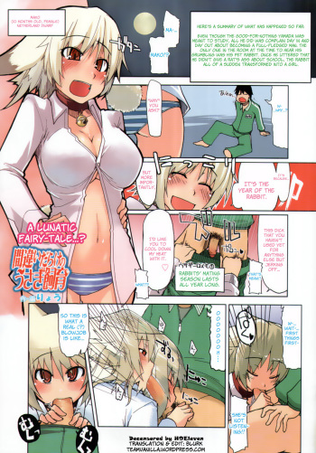 [Ryou] Machigai Darake no Usagi Shiiku | You're Doing It Wrong! (COMIC Tenma 2011-03) [English] =Team Vanilla= [Decensored] cover