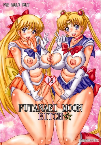 (C81) [NAMANECOTEI (chan shin han) FUTANARI MOON BITCH☆ (Sailor Moon) cover