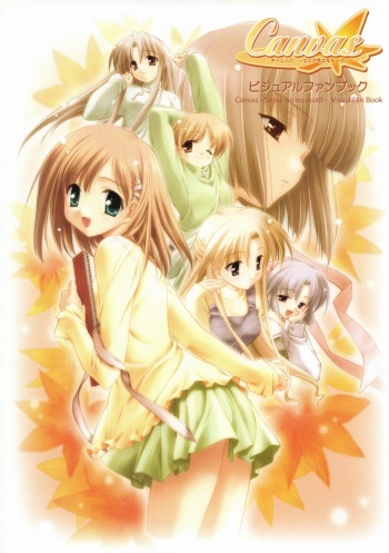 Canvas Visual Fan Book cover