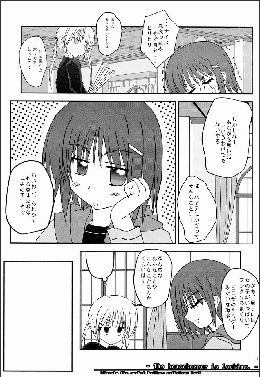 Kaseifu-san ga Miteru 2 page 12 full