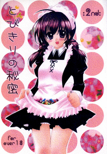 (C67) [Sakurakan (Seriou Sakura)] Tobikiri no Himitsu 2 (Inuyasha) cover