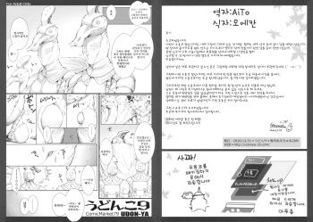 (C79) [UDON-YA (Kizuki Aruchu, ZAN)] Udonko Vol. 9 (Monster Hunter) [Korean] [Aito] cover
