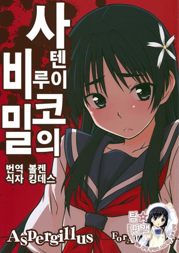(C78) [Aspergillus (Okara)] Saten Ruiko no Kakushigoto (Toaru Kagaku no Railgun) [Korean] [팀☆면갤] cover