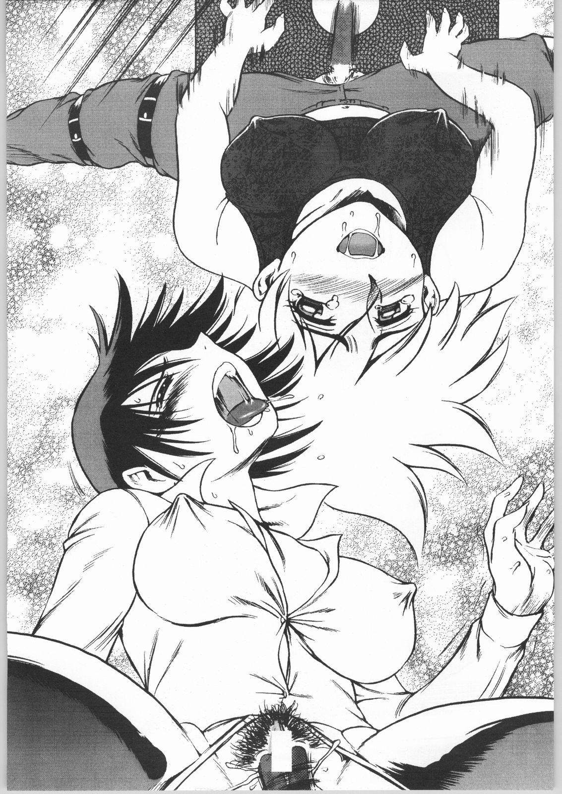 Raiun Sashie Shuu page 12 full