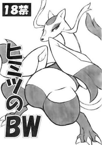 (Fur-st) [Mayoineko (Nakagami Takashi)] Himitsu no BW (Pokémon) cover