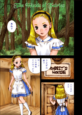 [Kuro no Alice (Nakamura Mizumo)] The Woods of Fairies ~Yousei no Mori~ cover