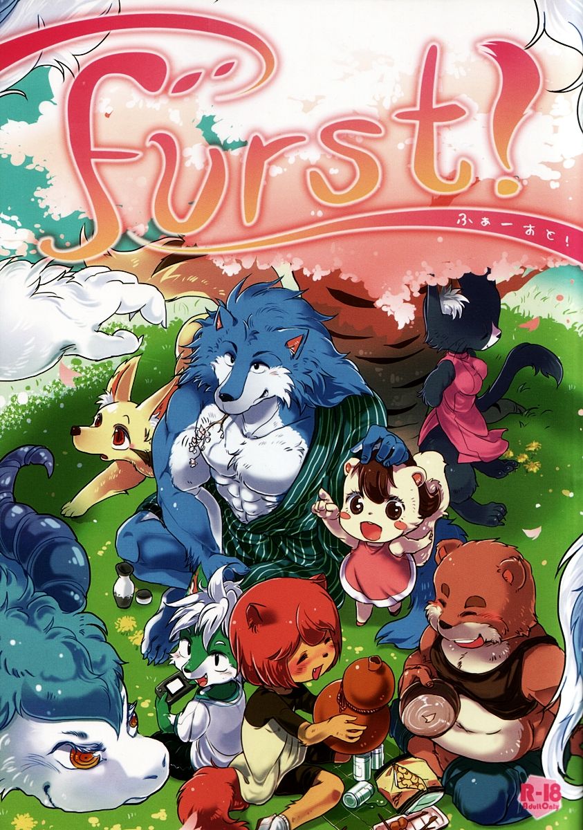 Furst page 1 full
