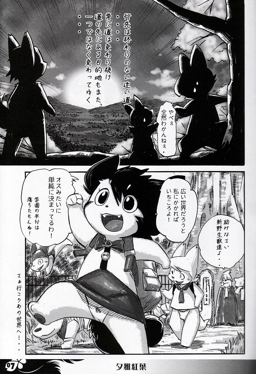 Furst page 6 full