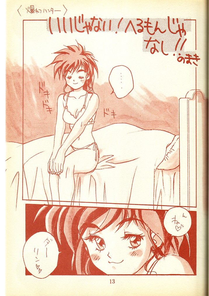 Piyoko no Pi Zoukan 1 - Bakuretsu! Evangeli Hunter SOS no Aoi Sora page 12 full