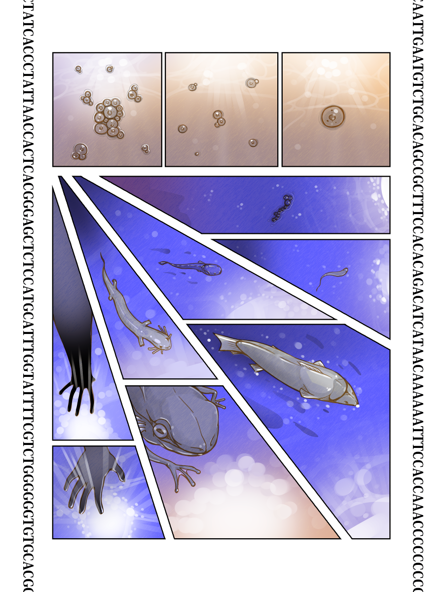 PRINCESS COMET : G page 12 full