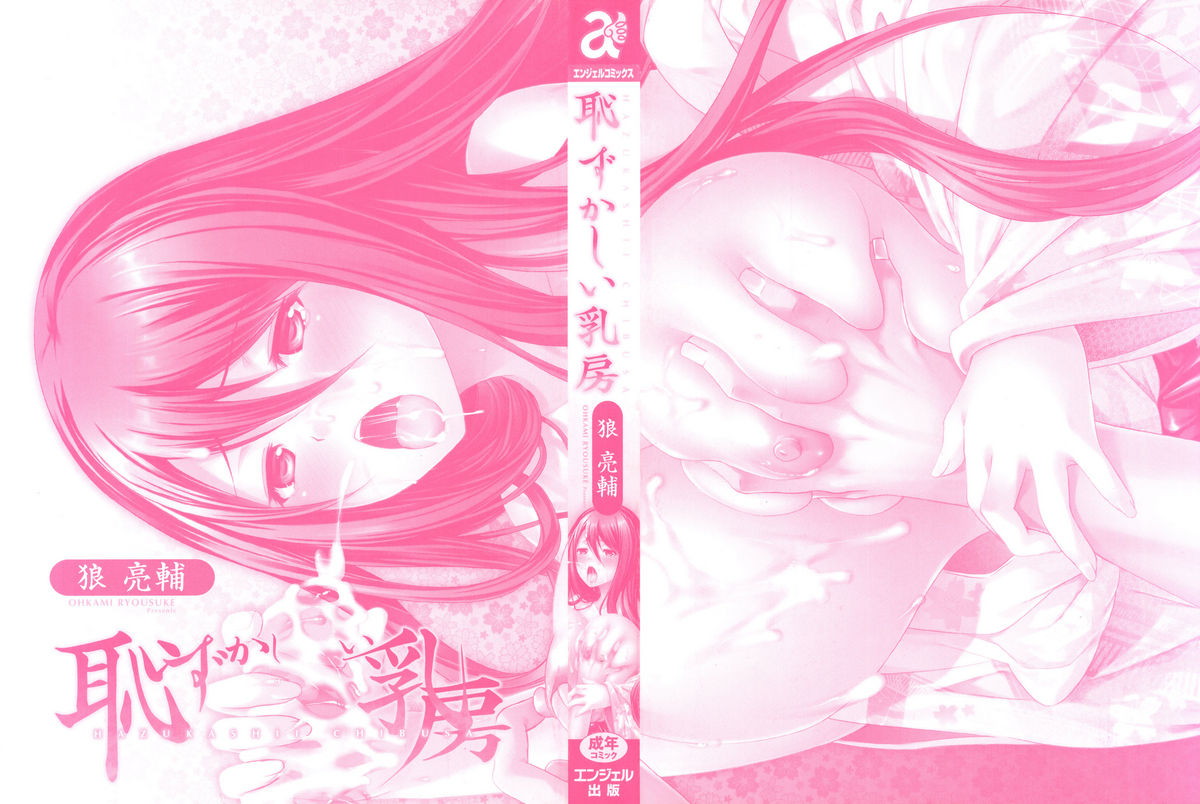 Hazukashii Chibusa page 3 full