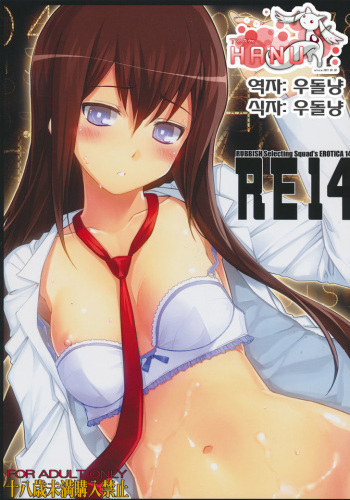 (C80) [RUBBISH Selecting Squad (Namonashi)] RE 14 (Steins;Gate) [Korean] [Team HA-NU] cover