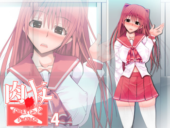 [Popo Doctrine] Nikutomo Tamane to Tamarare 4 (ToHeart2) cover