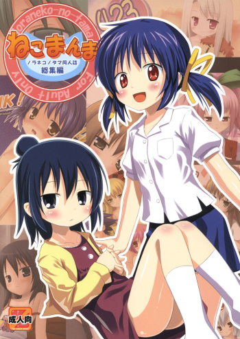 (COMIC1☆5) [Noraneko-no-Tama (Yukino Minato)] Neko Manma (Various) cover