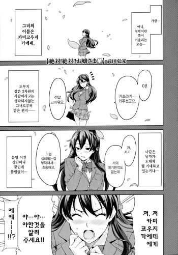 [Takeda Hiromitsu] Zettai! Zettai!! Ojou-sama (COMIC Megastore 2009-09) [Korean] cover