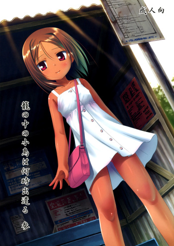 (SC52) [Noraneko-no-Tama (Yukino Minato)] Kago no Naka no Kotori wa Itsu Deyaru 3 [Russian] {Abunomaru} cover