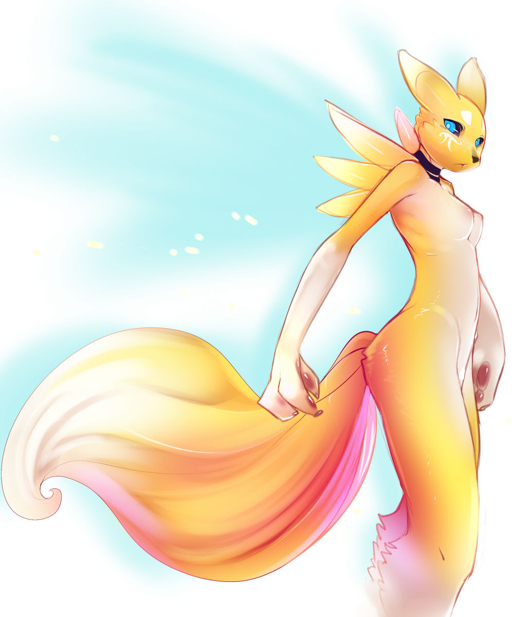 Best Renamon Collection page 11 full