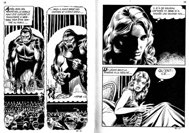 Série Verte n°41 - Le secret de King-Kong page 10 full