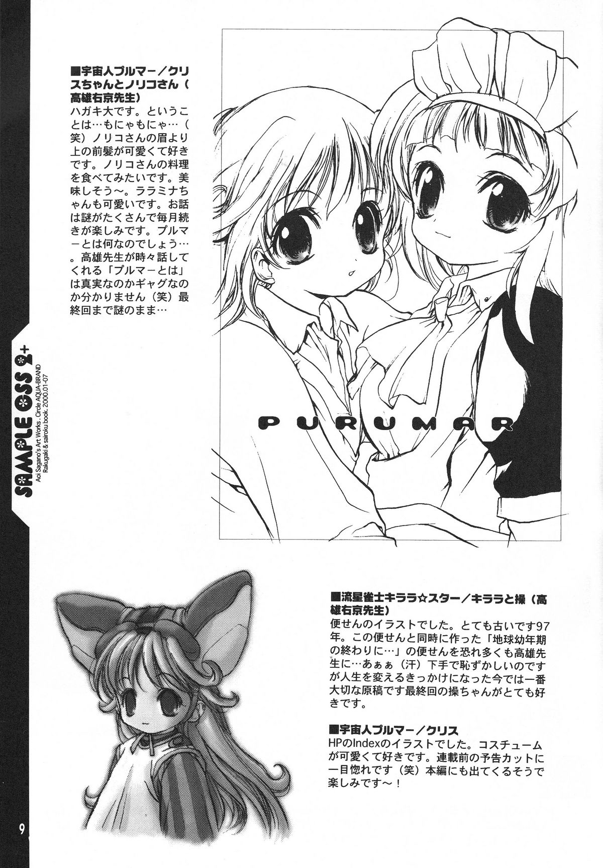 - SAMPLE-CSS2 page 11 full