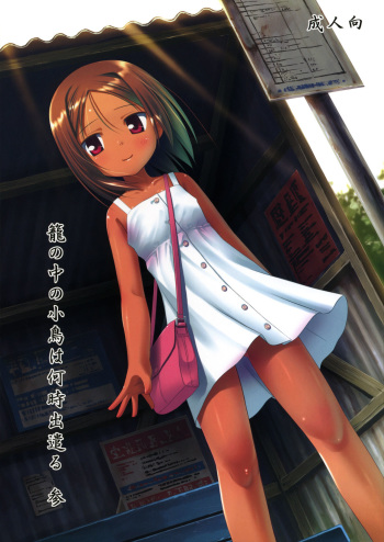 (SC52) [Noraneko-no-Tama (Yukino Minato)] Kago no Naka no Kotori wa Itsu Deyaru 3 [German] {Deutsche-Doujins.com} cover