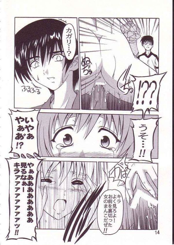 Cagalli page 12 full