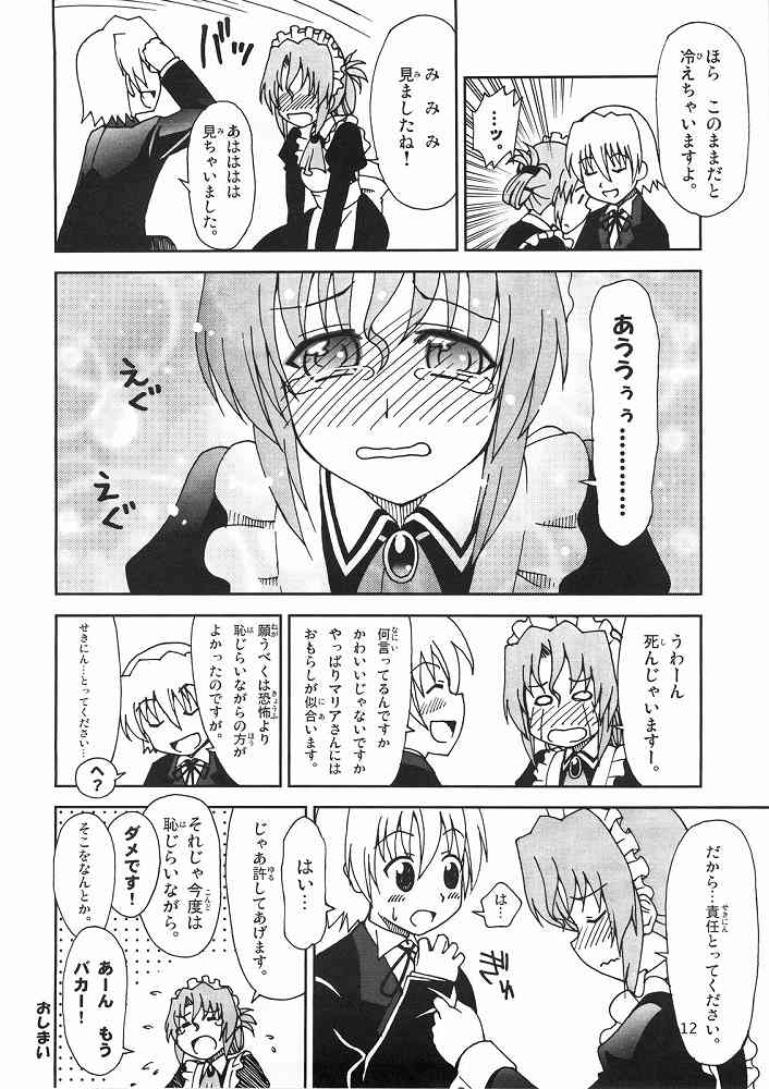 Hayate ni Yoru Fukuinsho page 11 full