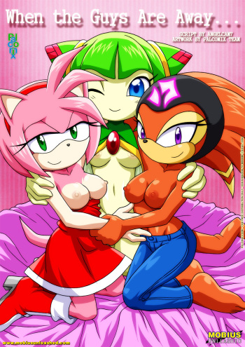 [Palcomix] When The Guys Are Away... (Sonic the Hedgehog) cover