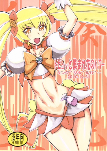 (C79) [King Revolver (Kikuta Kouji)] Dopyutto Atsumare Hana no Power (HeartCatch Precure!) cover