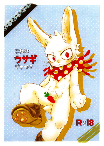 (Shota Scratch 14) [KPTM'S (Kurotsuki Kyouto)] Kore Ha Usagi Desuka (Oumagadoki Zoo) cover