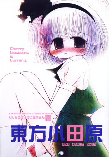 (Touhou Manga Matsuri) [Utaenai Taiheiyou (Kanase Akiho)] Lyrical Pani Poni Kirisame-san Ura Touhou Odawara (Touhou Project) cover