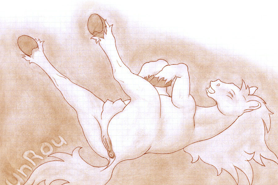 Furry Anatomically Correct page 2 full