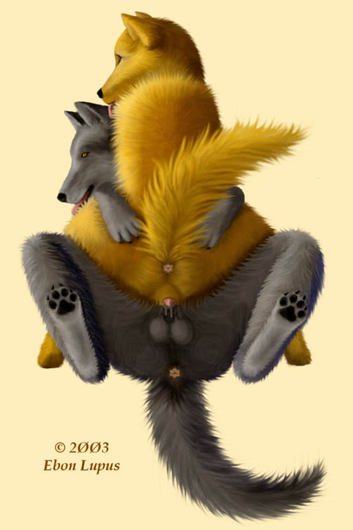 Furry Anatomically Correct page 7 full