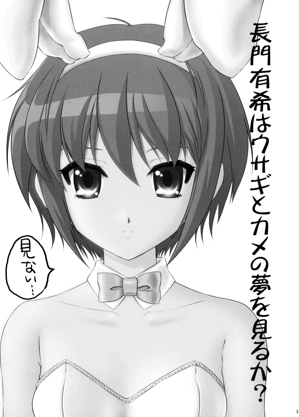 Nagato Yuki wa Usagi to Kame no Yume o Miru ka? page 2 full