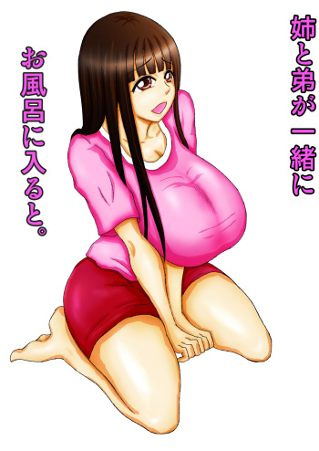 [Fundoshi] Ane to Otouto ga Issho ni Ofuro ni Hairu to. cover