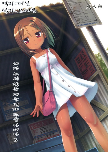 (SC52) [Noraneko-no-Tama (Yukino Minato)] Kago no Naka no Kotori wa Itsu Deyaru 3 [Korean] cover