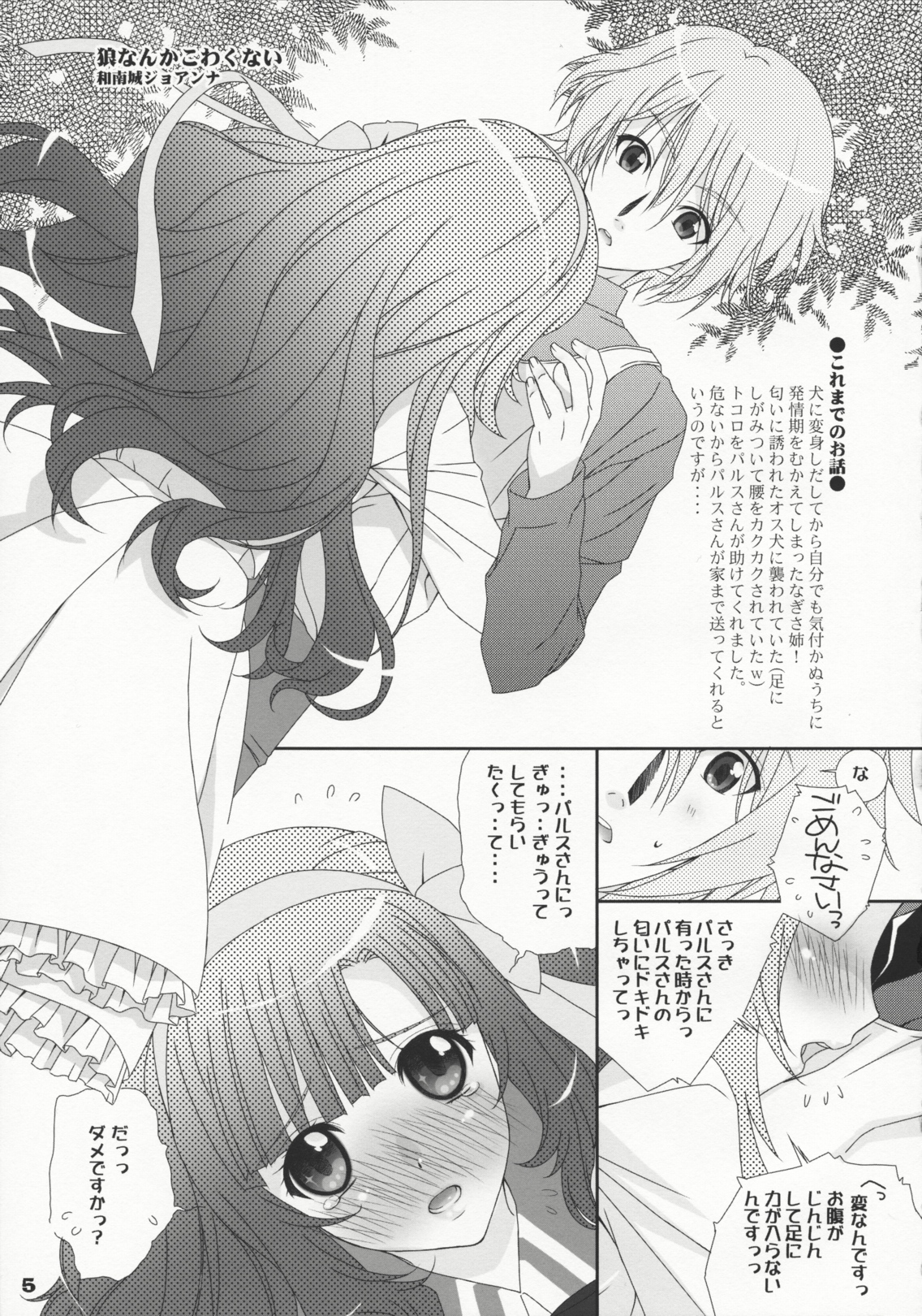 Pochi Bukuro page 5 full